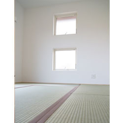 たまには畳の上でゆっくりお昼寝。